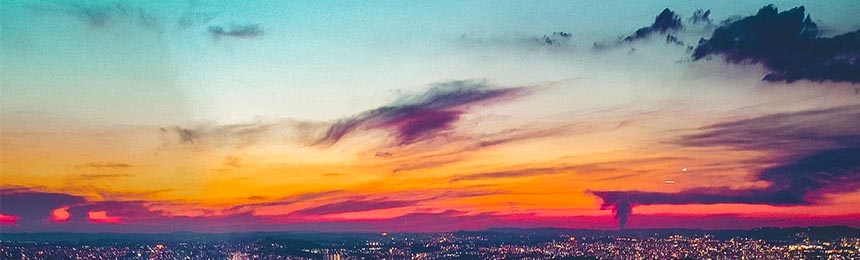 清远茶虫网_清远品茶